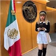 Clases sobre el Poder Legislativo Mexicano